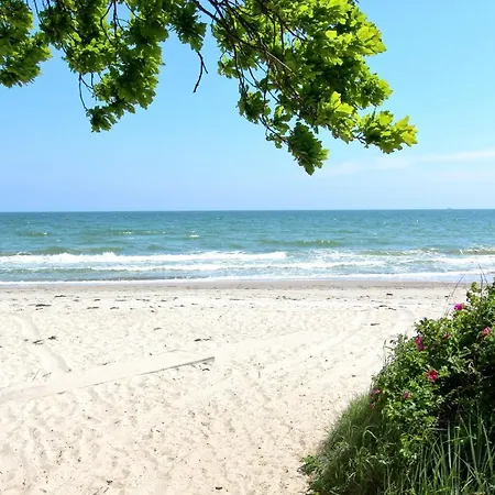 Apartment Rex Rugia: Beachside With Balcony And Access Lobbe