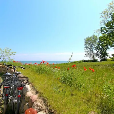 Strandnahe Mit Balkon, Gratis Nutzung Vom Ahoi Erlebnisbad Und Sauna In Sellin - Rex Rugia 29-8 * Lobbe