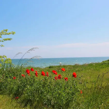 Rex Rugia: Beachside With Balcony And Access
