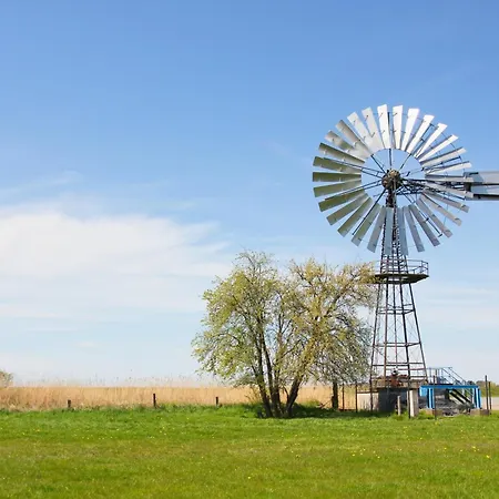 Apartment Strandnahe Mit Balkon, Gratis Nutzung Vom Ahoi Erlebnisbad Und Sauna In Sellin - Rex Rugia 29-8